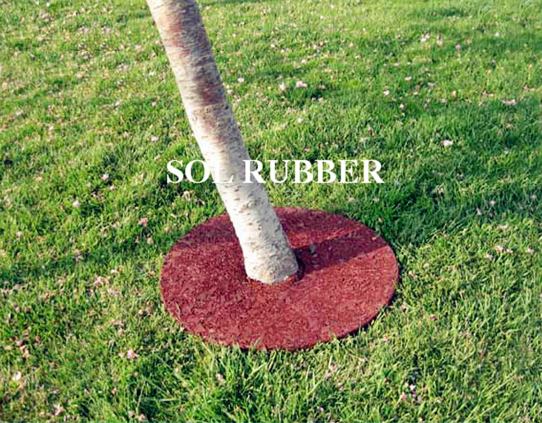 Rubber Tree Ring