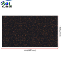SOL RUBBER 4'x6'x3/4" Thick Heavy Duty Commercial Fitness EPDM Economy GYM Rubber mat Tile Flooring