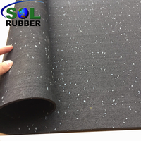 Roll Rubber Gym Fitness Flooring with EPDM Granules 
